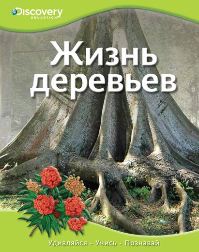 Энциклопедия «Жизнь деревьев» из серии «Discovery Education» Энциклопедия «Жизнь деревьев» из серии «Discovery Education»Книга знаний<br>Энциклопедия «Жизнь деревьев» из серии «Discovery Education»<br>
