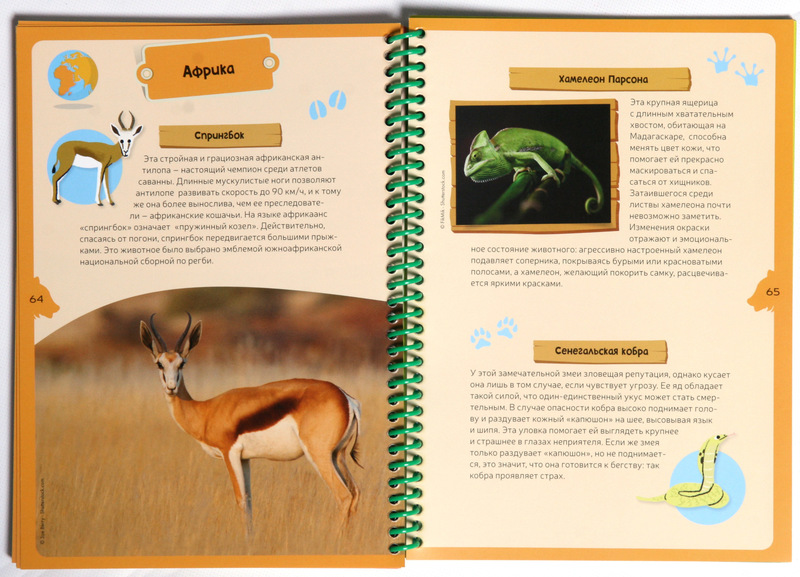 Интерактивная детская энциклопедия с магнитами - Животные планеты  