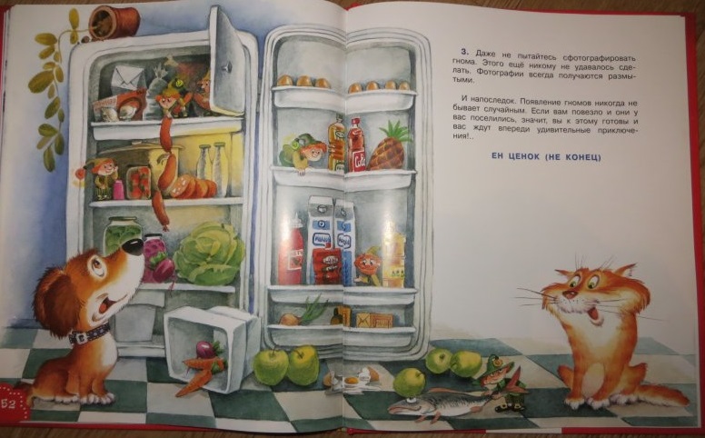 Книга Д.Чижевская "У нас на кухне жили гномы"  