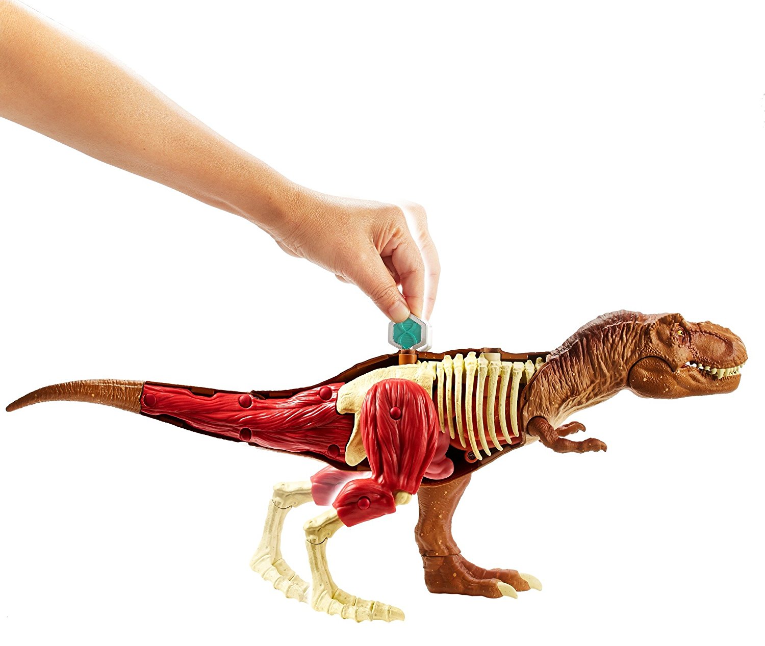 Игровой набор Jurassic World - Анатомия динозавра  