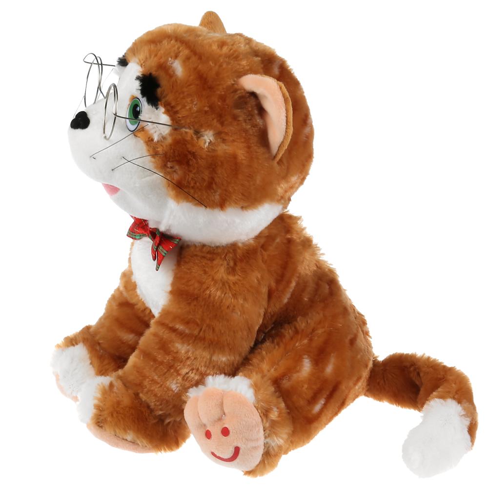 Музыкальная мягкая игрушка Дружинина - Ученый кот Матвей, 25 см  