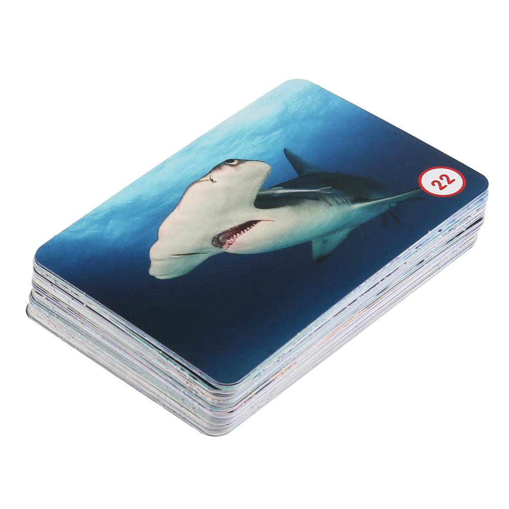 Карточная мемо игра - Морские животные, 50 карточек  