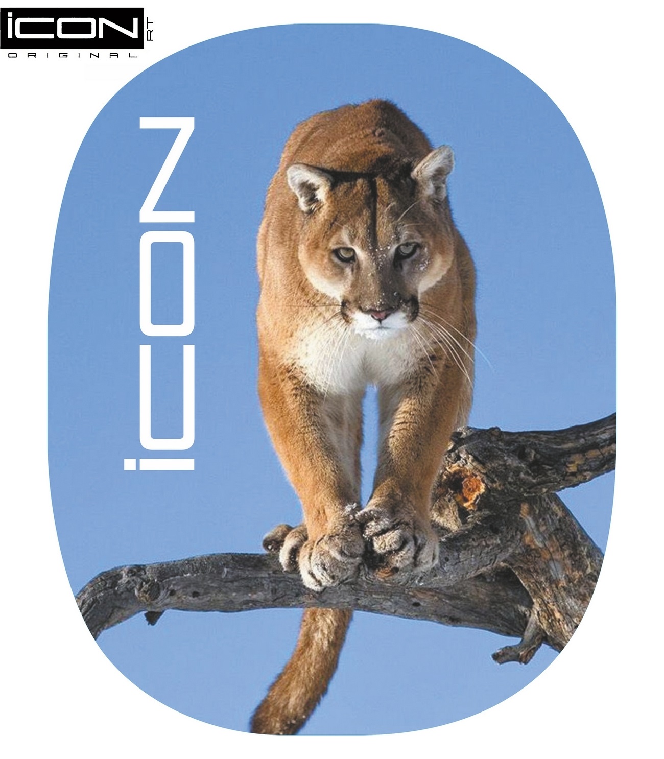 Детский трехколесный велосипед ICON 3 RT original silver blue puma