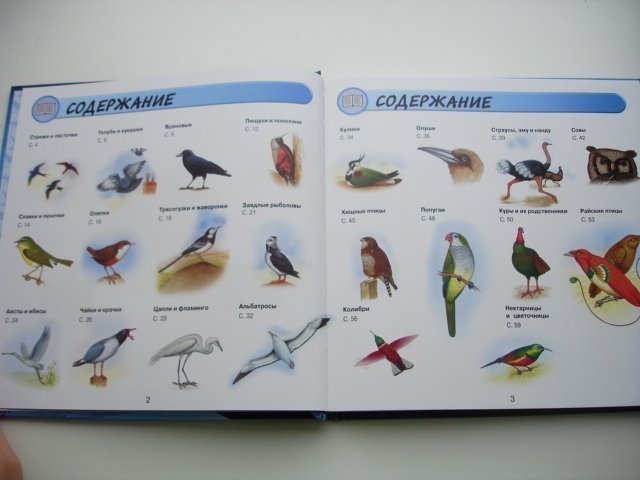 Детская энциклопедия Птицы 3D  
