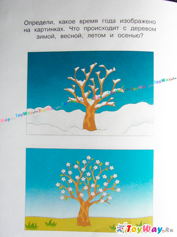 Книга «Веселые часы» из серии Умные книги для детей от 4 до 5 лет в новой обложке  