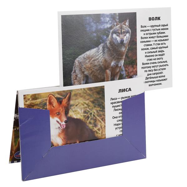 Карточки в папке - Лесные животные  