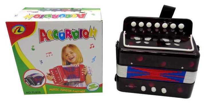 Детский музыкальный инструмент – Аккордеон  