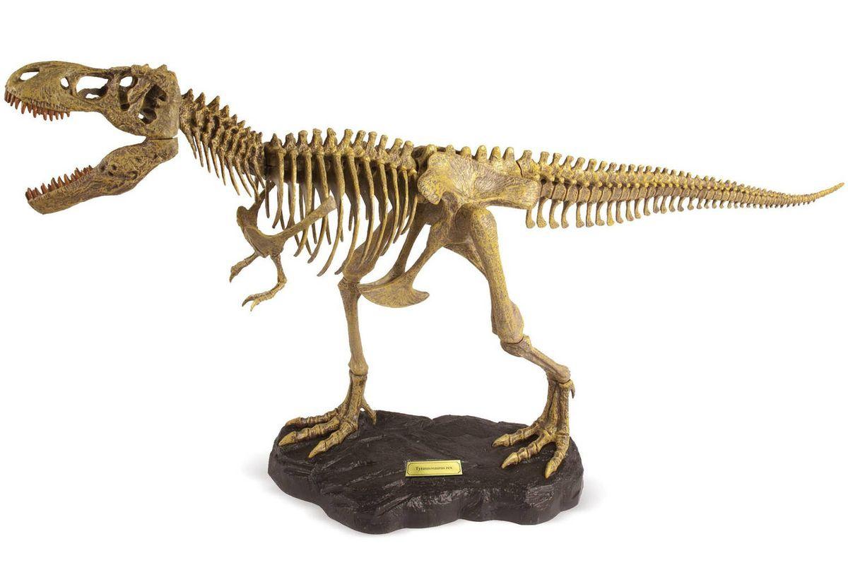 Набор Dr.Steve - Палеоэкспедиция в поисках скелета Тираннозавра  