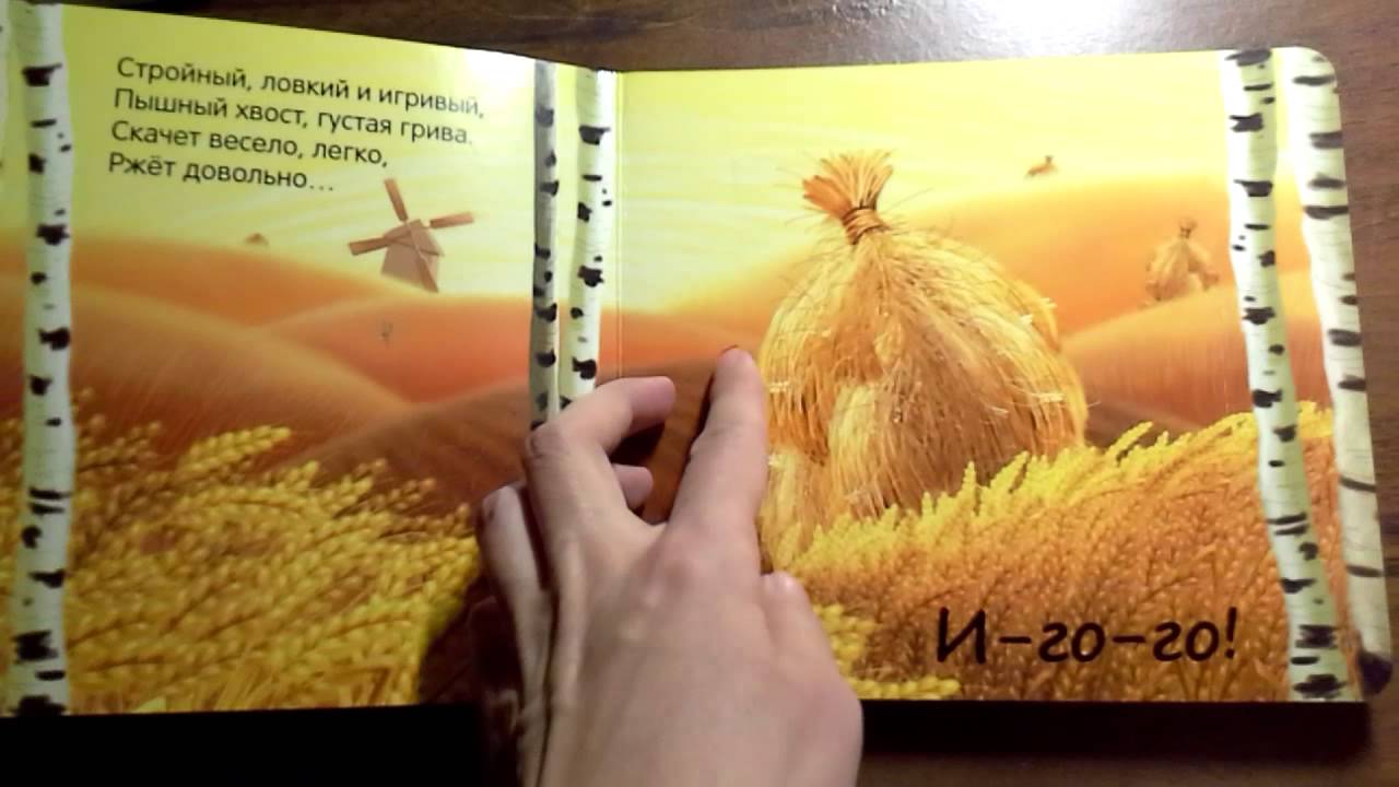 Книга с окошками из серии Начинаю говорить - Что мы слышали в деревне, новая  