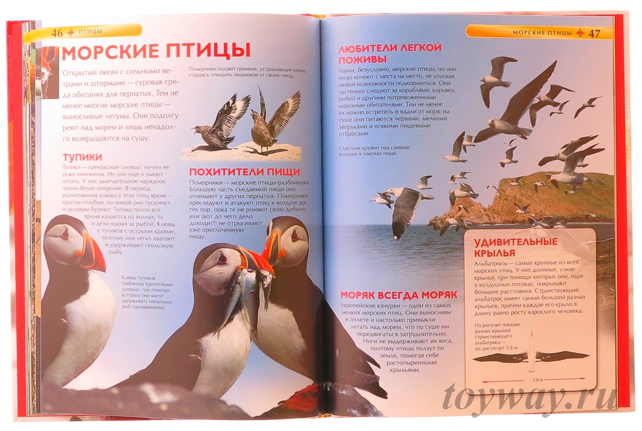 Детская энциклопедия Птицы  