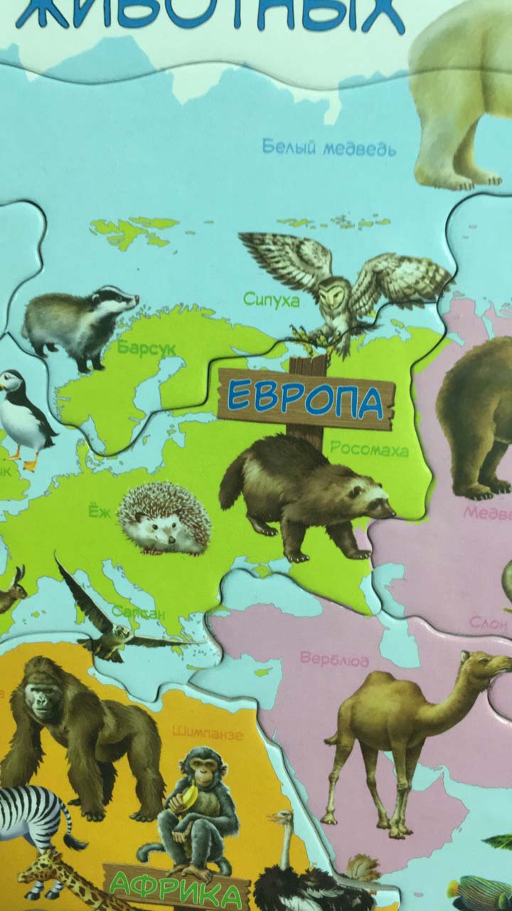 Обучающий пазл - Карта мира с животными, 28 деталей  