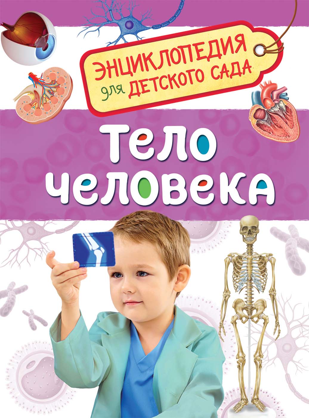 Энциклопедия для детского сада - Тело человека Энциклопедия для детского сада - Тело человекаДля малышей в картинках<br>Энциклопедия для детского сада - Тело человека<br>
