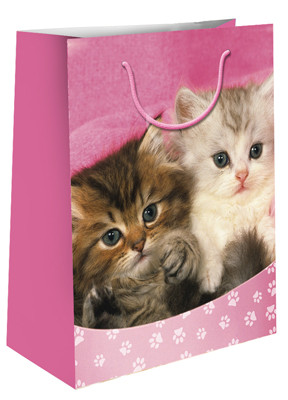 Пакет подарочный - Котята 