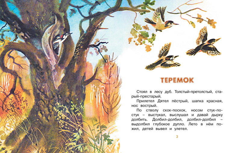Книга В. Бианки Теремок, рисунки Т. Васильевой  