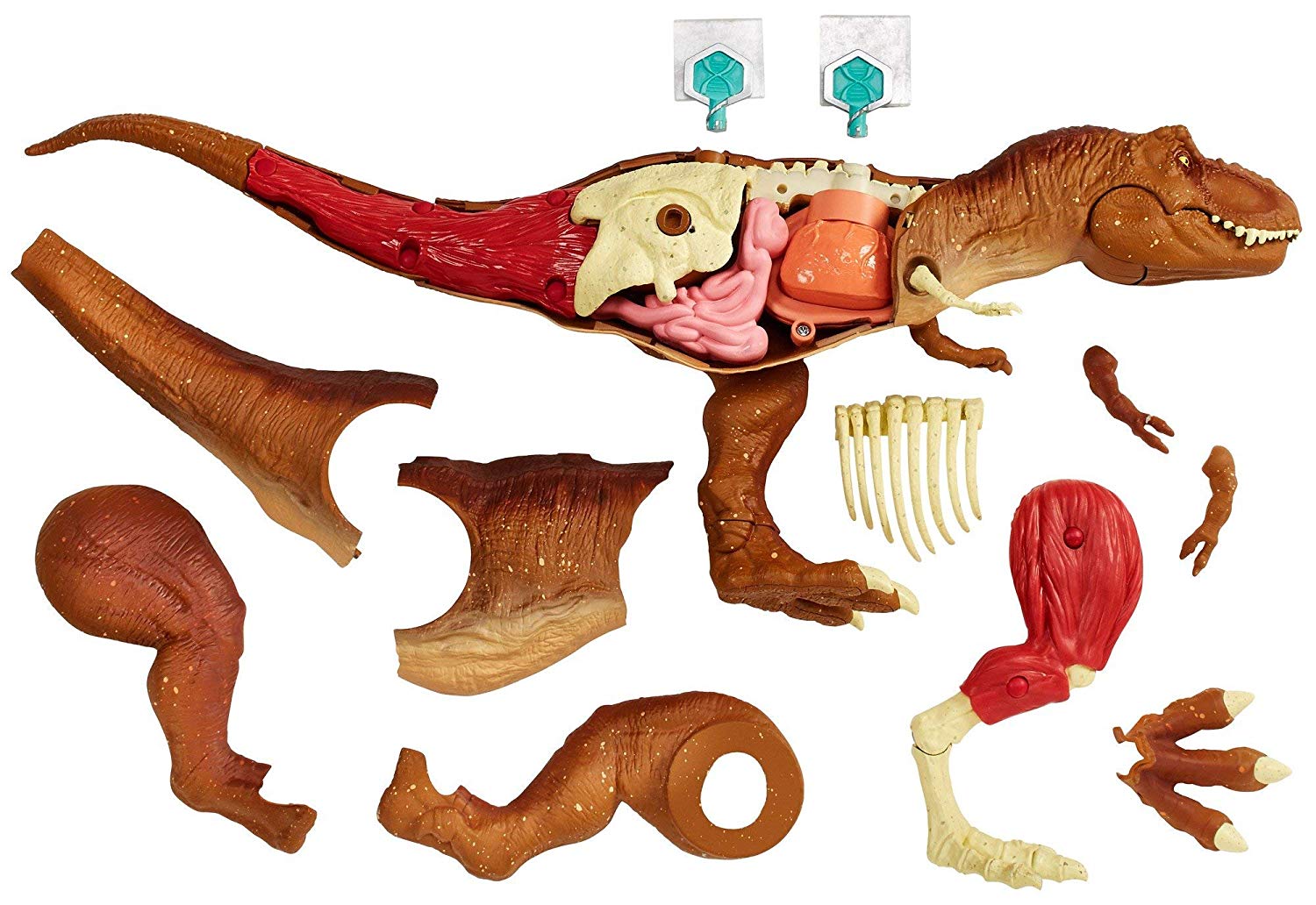 Игровой набор Jurassic World - Анатомия динозавра  