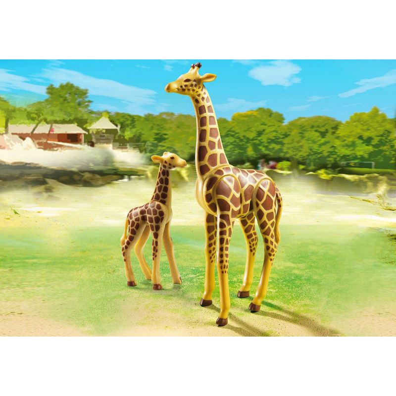 Зоопарк: Жираф со своим детенышем жирафом  