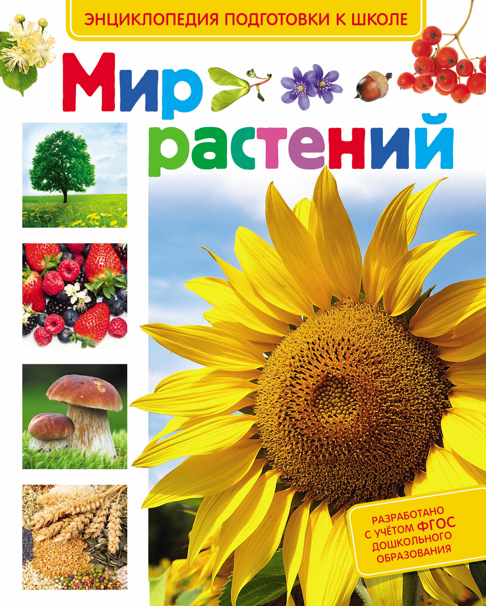 Энциклопедия подготовки к школе «Мир растений» Энциклопедия подготовки к школе «Мир растений»Обучающие книги и задания<br>Энциклопедия подготовки к школе «Мир растений»<br>