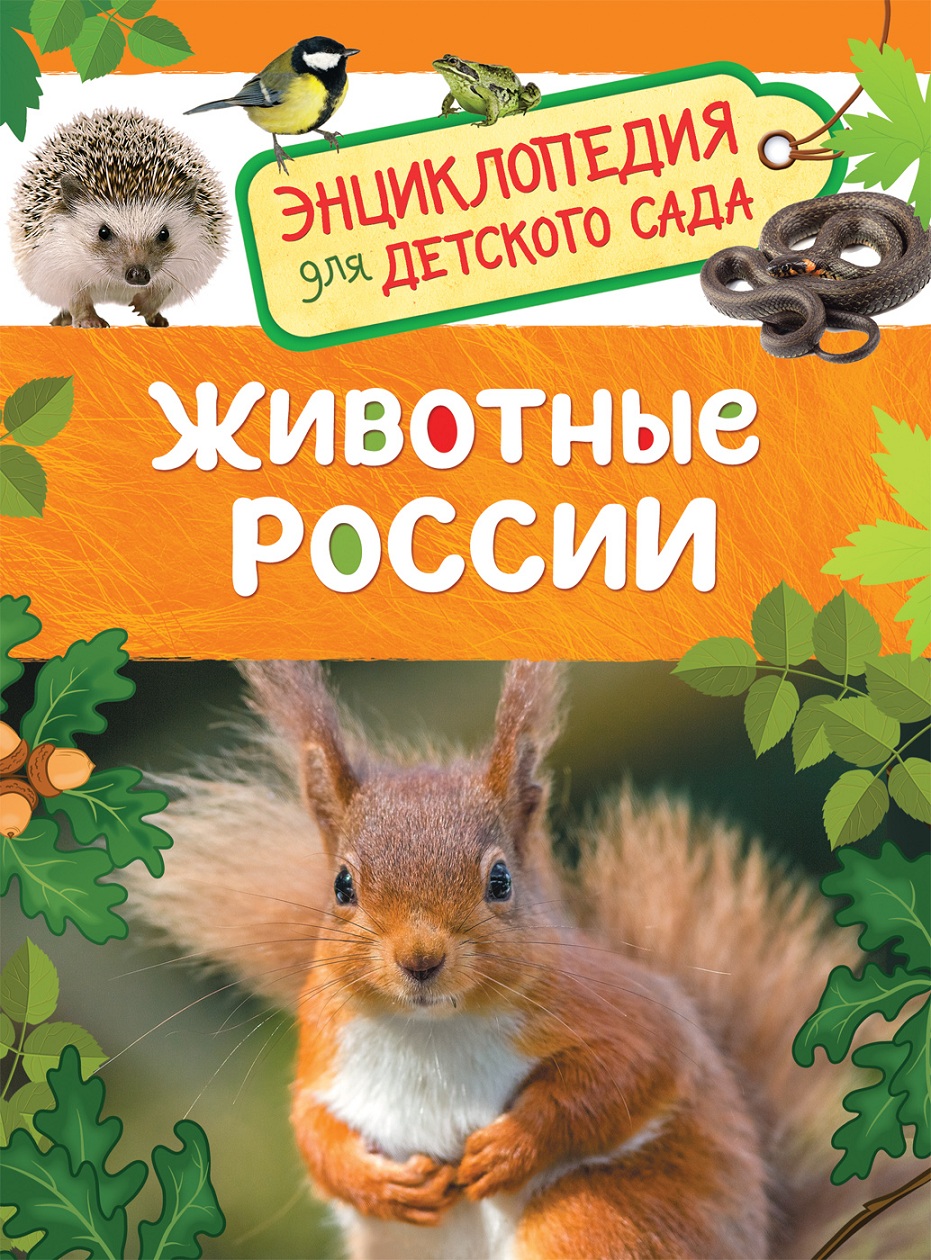 Энциклопедия для детского сада - Животные России Энциклопедия для детского сада - Животные РоссииДля малышей в картинках<br>Энциклопедия для детского сада - Животные России<br>
