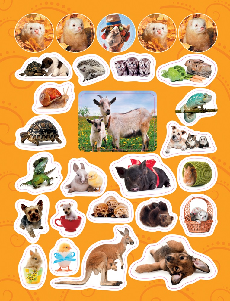 Коллекция из 100 наклеек серии Стикерляндия – Забавные животные  