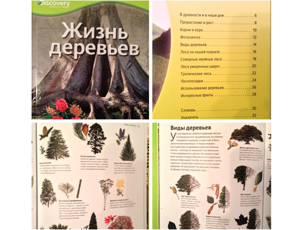 Энциклопедия «Жизнь деревьев» из серии «Discovery Education»  