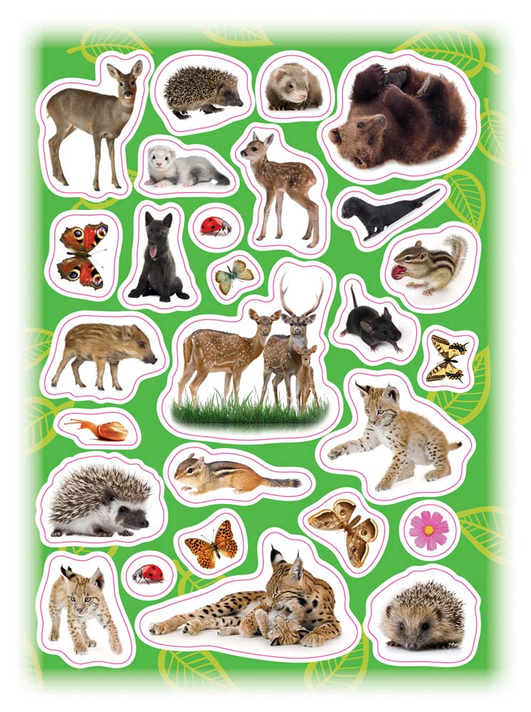 100 наклеек - Лесные животные  