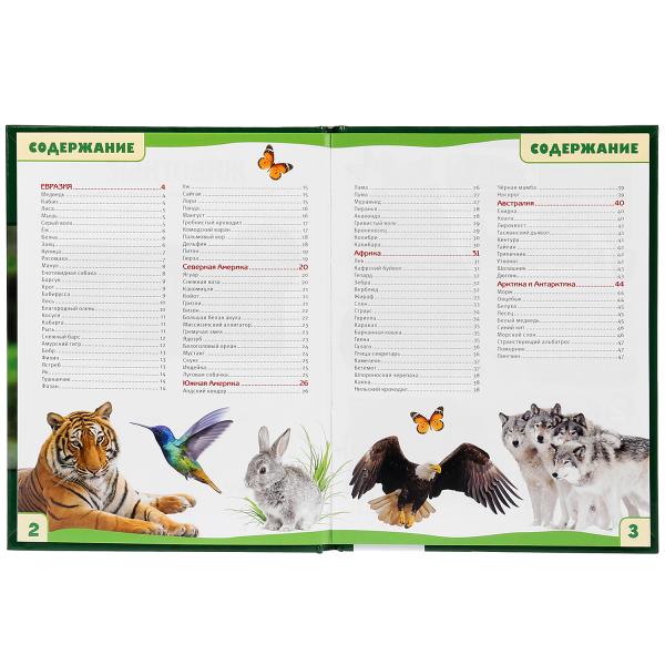 Энциклопедия с развивающими заданиями А5 – Животные  