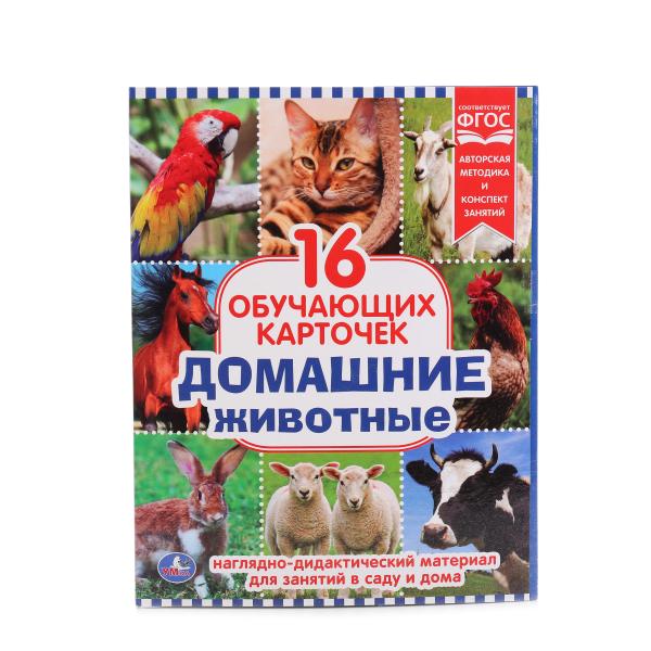 Обучающие карточки в папке - Домашние животные, 16 шт. Обучающие карточки в папке - Домашние животные, 16 шт.Животные и окружающий мир<br>Обучающие карточки в папке - Домашние животные, 16 шт.<br>