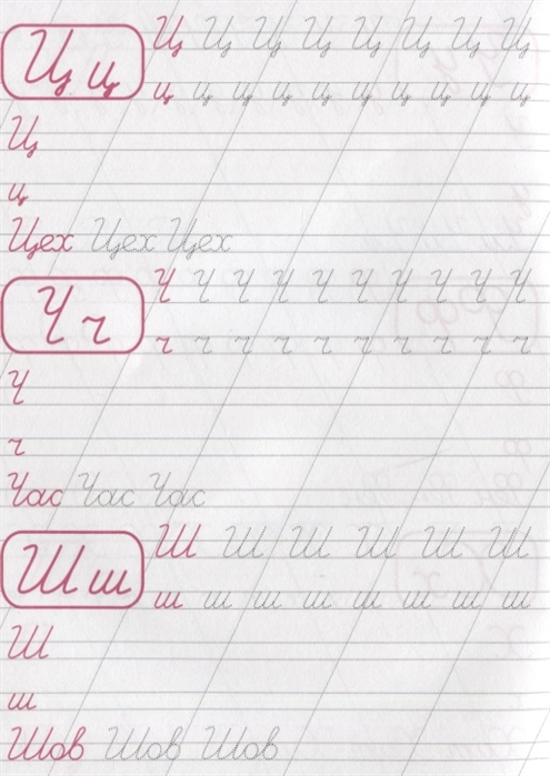 Прописи каллиграфические для девочек. Пишем цифры, буквы, слоги А5  