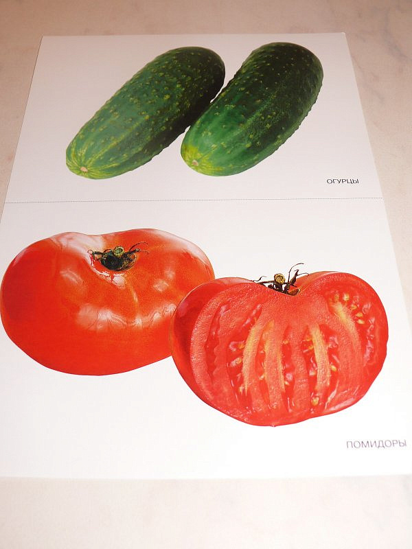 Карточки в папке из серии Мир в картинках – Овощи, соответствуют ФГОС  