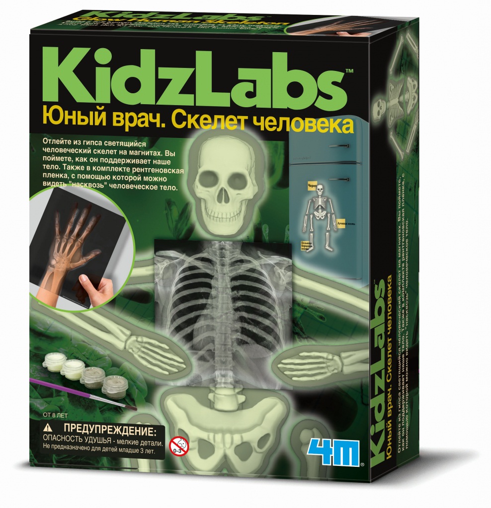 Игровой набор - Юный врач - Скелет человека Игровой набор - Юный врач - Скелет человекаНаборы доктора детские<br>Игровой набор - Юный врач - Скелет человека<br>