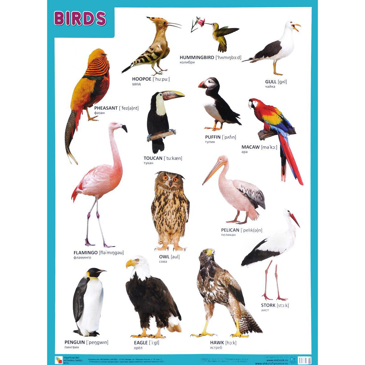 Плакат английский Birds - Птицы Плакат английский Birds - ПтицыАнглийский язык для детей<br>Плакат английский Birds - Птицы<br>