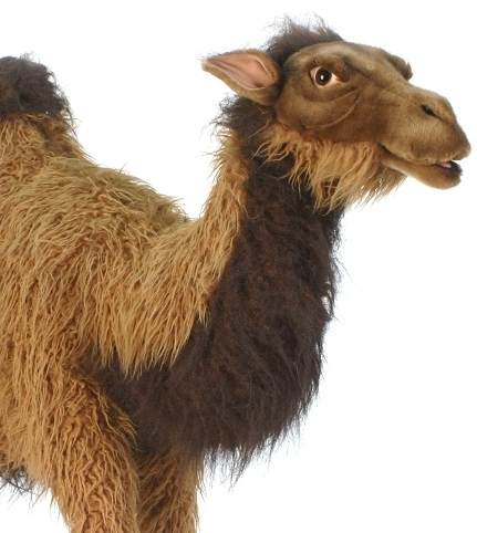 Мягкая игрушка - Верблюд, анимированный, 110 см.  