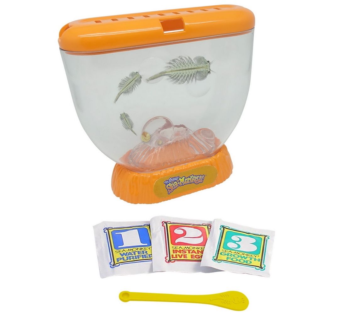 Аквариум Sea-Monkeys для выращивания ракообразных вида Artemia Salina, 15,6 x7 x 12,7 см
Аквариум Sea-Monkeys для выращивания ракообразных вида Artemia Salina, 15,6 x7 x 12,7 см