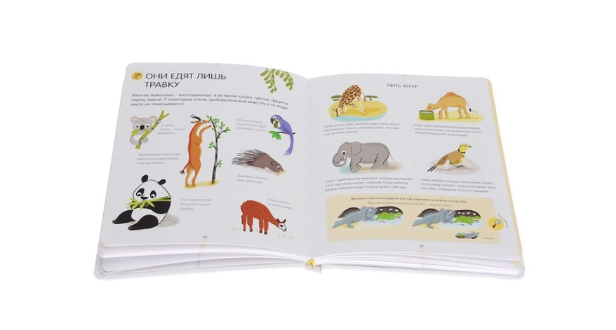 Энциклопедия для малышей «Животные»  