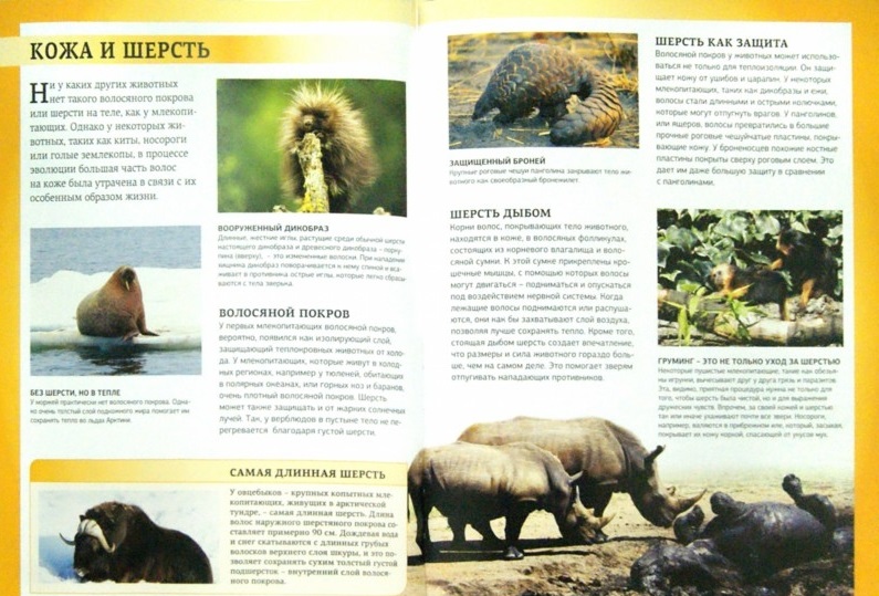 Энциклопедия для школьников «Царство животных. Млекопитающие»  