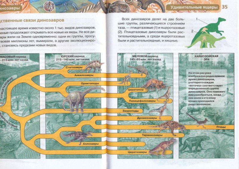 Энциклопедия «Динозавры»  