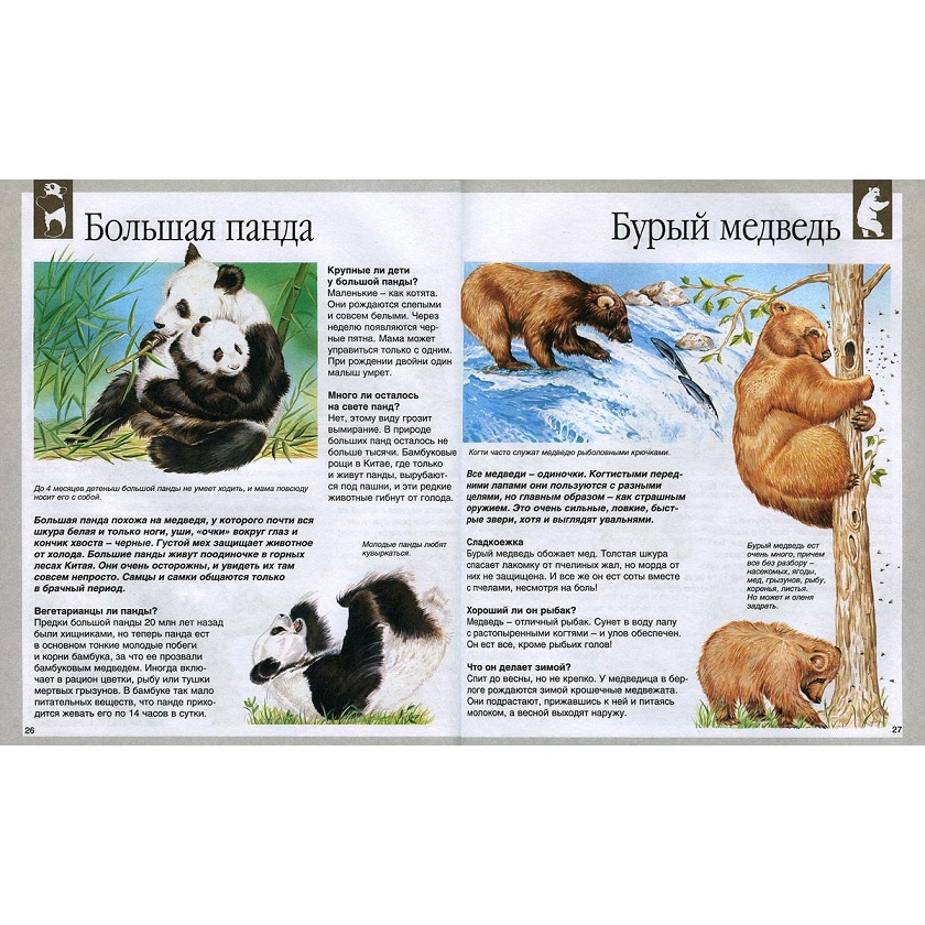 Детская энциклопедия – Животные, новое оформление  