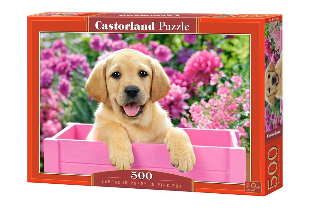 Пазл Castorland 500 деталей Щенок в коробке Пазл Castorland 500 деталей Щенок в коробкеПазлы<br>Пазл Castorland 500 деталей Щенок в коробке<br>