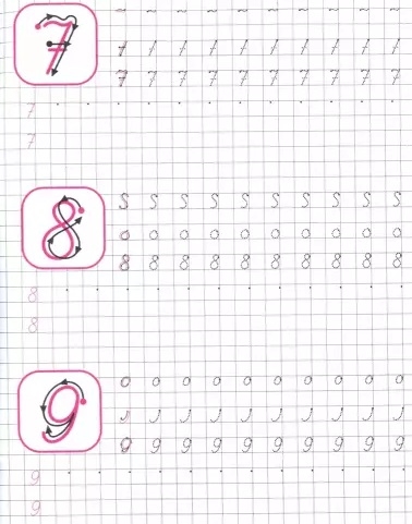Прописи каллиграфические для девочек. Пишем цифры, буквы, слоги А5  