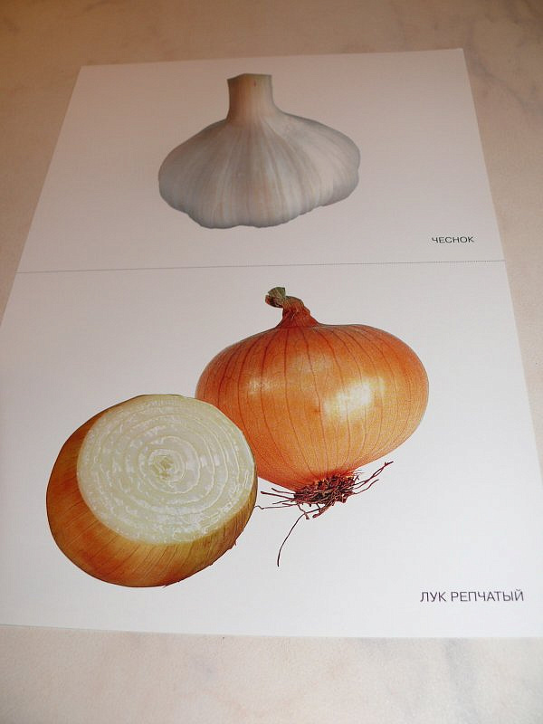 Карточки в папке из серии Мир в картинках – Овощи, соответствуют ФГОС  