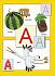 Книга из серии Школа Семи Гномов Третий год обучения - Азбука для малышей  - миниатюра №1