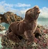 Мягкая игрушка - Детеныш морского льва, 48 см  - миниатюра №1