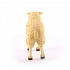 Фигурка - Овца, размер M, 8 см.  - миниатюра №3