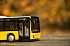 Автобус-гармошка Man Lions City  - миниатюра №23