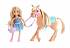 Игровой набор Семья Barbie - Челси с пони  - миниатюра №1