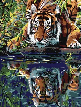 Раскраска по номерам Тигр у воды 