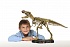 Набор Dr.Steve - Палеоэкспедиция в поисках скелета Тираннозавра  - миниатюра №4
