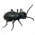 Робо-муравей на инфракрасном управлении, световые эффекты  - миниатюра №3
