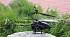 Вертолёт Чёрный принц с гироскопом на ИК-управлении  - миниатюра №2