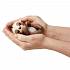 Интерактивный ленивец Fingerlings – Кингсли, коричневый, 12 см, звук  - миниатюра №3